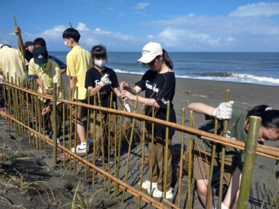 宜蘭校園體驗海岸堆砂籬　為保安林搭起防線 (2)